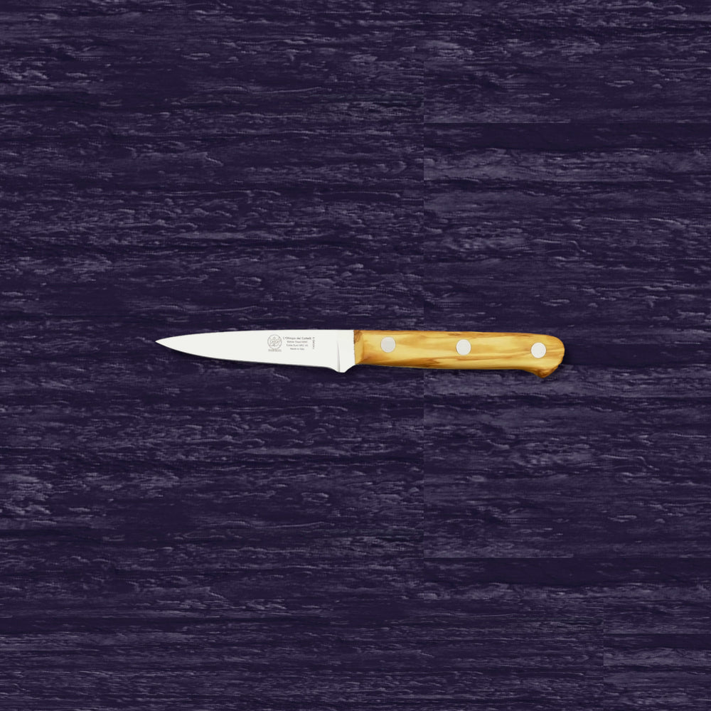 Paring Kitchen Knife - Blade 3.54